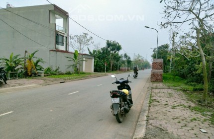 Bán 10 000 m2 đất công nghiệp Thuận Thành 3, Bắc Ninh